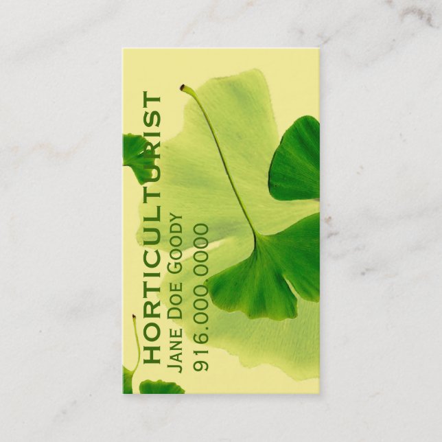 Lemon Grove Elegance: Ginkgo Leaves Business Card (Front)