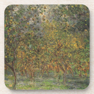 Lemon Grove in Bordighera by Claude Monet Coaster