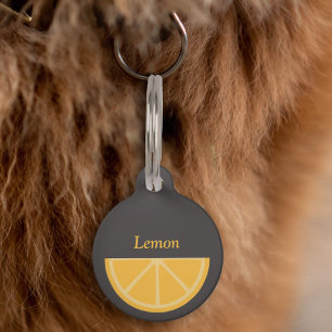 Lemon Half-Slice on Pet Tag