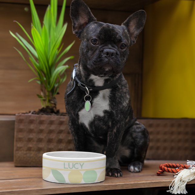 Lemon/Lime Citrus Retro Dog/Cat Bowl (See coordinating collar, tag, and leash!)