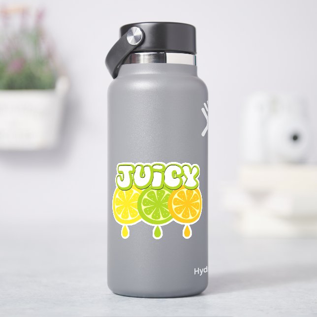 Lemon Lime Orange Fruit Vinyl Sticker (HydroFlask)