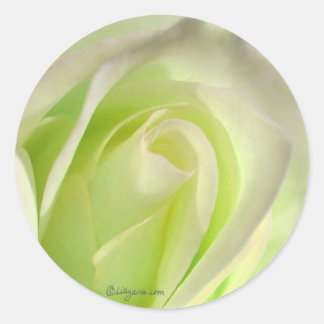 Lemon Lime Rose Wedding Envelope Seal