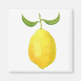 Lemon Magnet