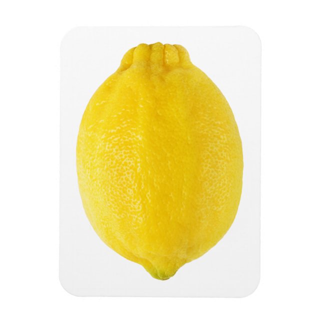 Lemon Magnet (Vertical)