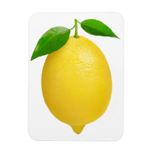 Lemon Magnet