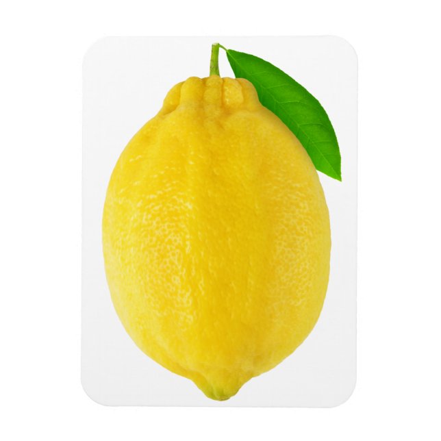 Lemon Magnet (Vertical)