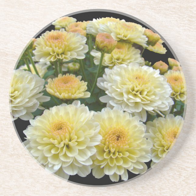 Lemon Meringue Chrysanthemums Coaster (Front)