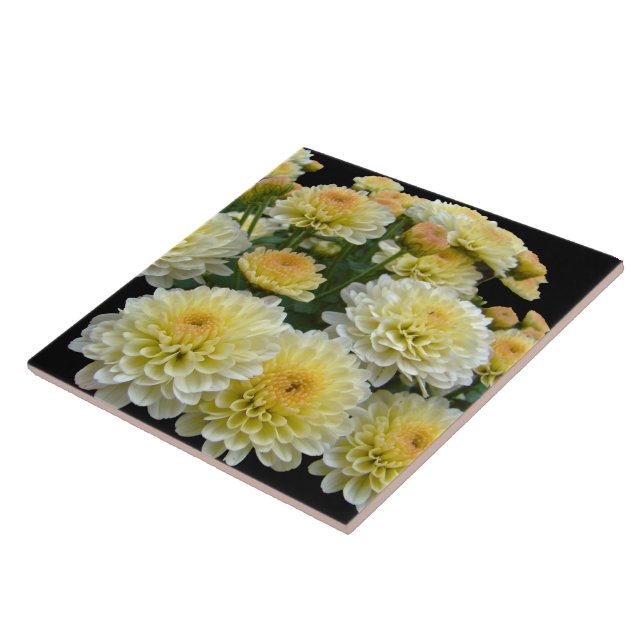 Lemon Meringue Chrysanthemums Tile (Side)
