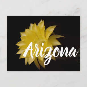 Lemon Pie Cactus Flower Delight, Arizona Postcard
