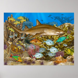 Lemon Shark Over Coral Reef Poster