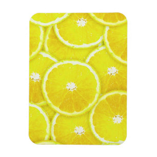 Lemon slices magnet