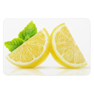 Lemon slices magnet