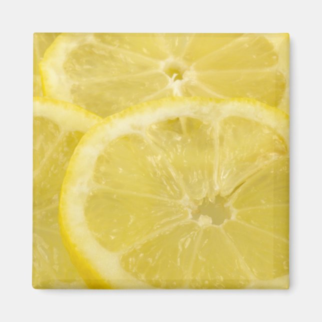 Lemon Slices Magnet (Front)
