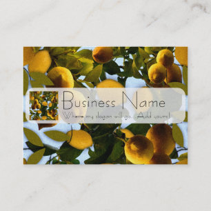 Lemon Tree Business Card