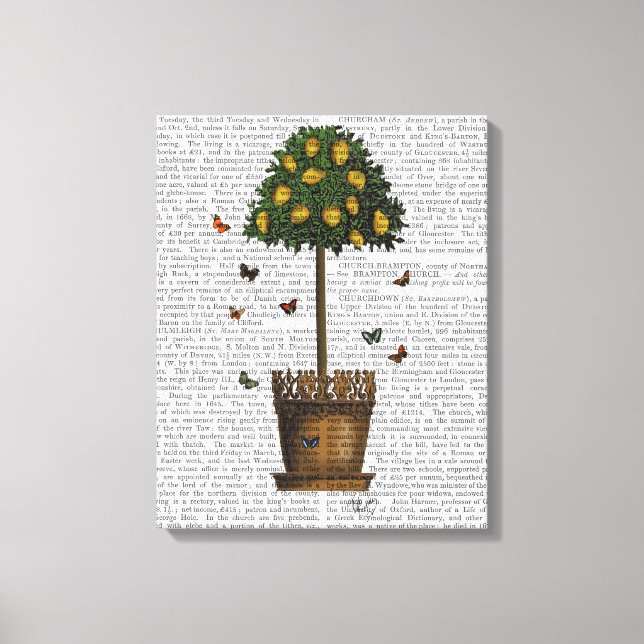 Lemon Tree Canvas Print (Front)
