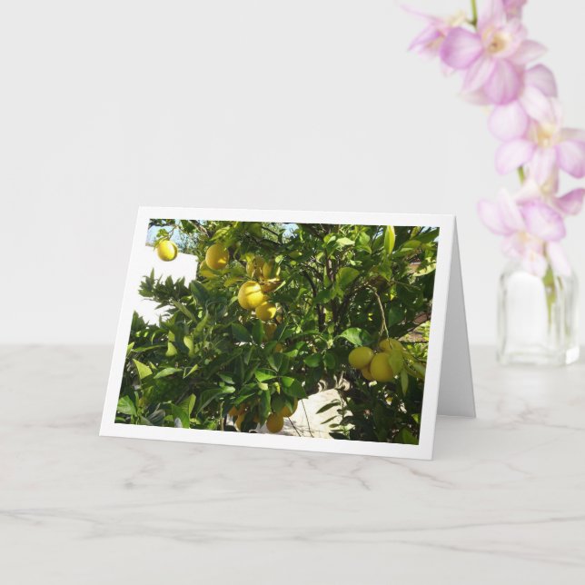 Lemon Tree Portrait Card (Orchid)