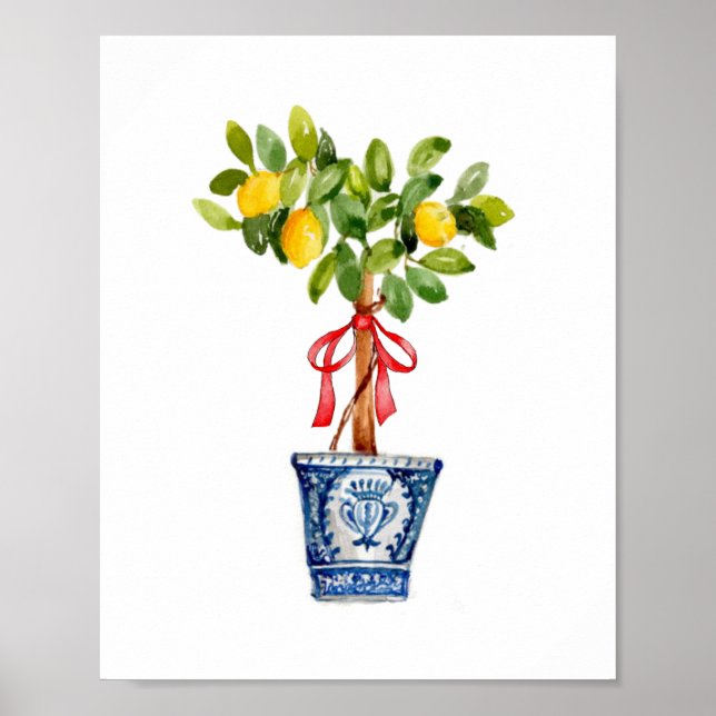 Lemon tree topiary in blue vase  poster (Front)