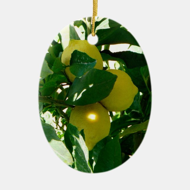 Lemon Tree Yellow Green Ornament (Front)