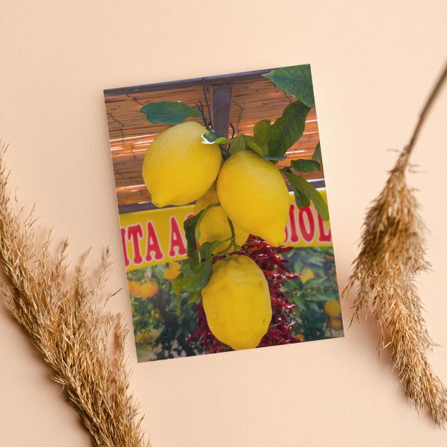 Lemon Vine In Positano Italy Postcard (Creator Uploaded)