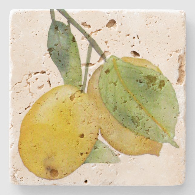 Lemon-water ponds stone coaster (Front)