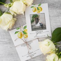 Lemon Watercolor Citrus Wedding Photo