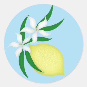Lemon with flower and leaves classic round sticker