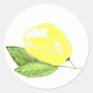 Lemon yellow fruit Watercolor Citrus Summer Classic Round Sticker