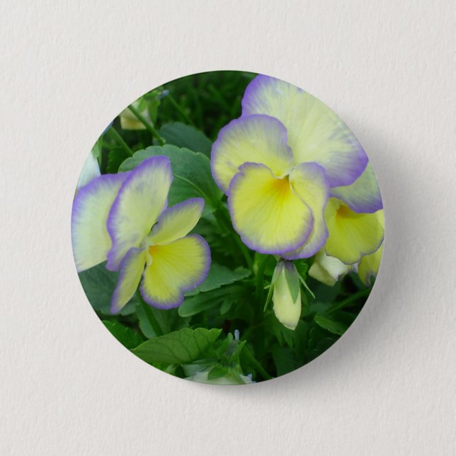 Lemon Yellow Pansies Button (Front)