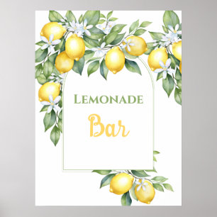 Lemonade Bar Birthday Poster