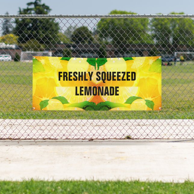 Lemonade Freshly Squeezed  Banner (Insitu)