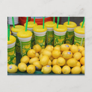 Lemonade Stand Cups and Lemons Festival Photograph Postcard