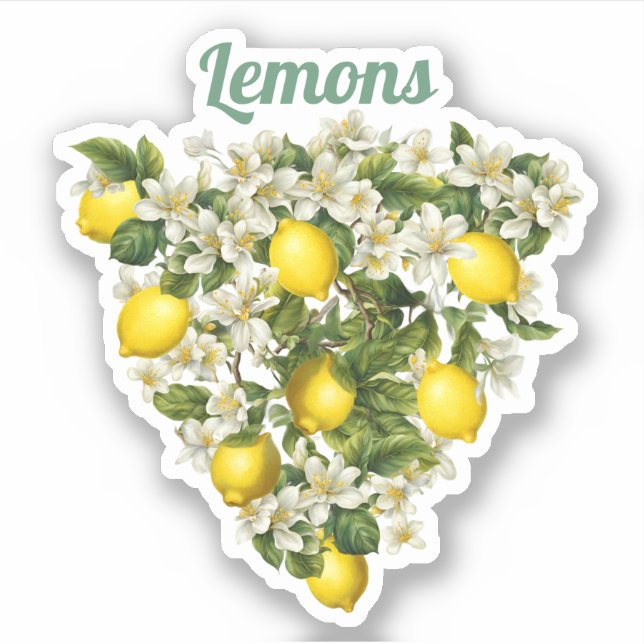 Lemons (Front)
