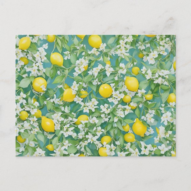 Lemons and White Flowers Postcard (Front)