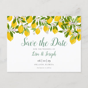 Lemons Blossom Elegant Script Save the Date Announcement Postcard