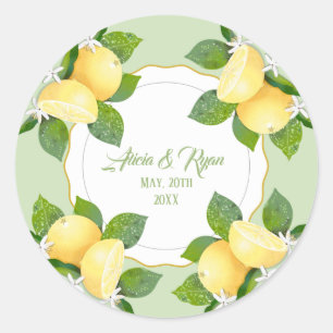 Lemons Citrus Fruit Botanical Classic Round Sticker