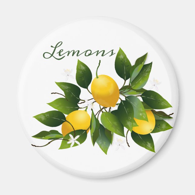 Lemons Citrus Fruit Floral Magnet (Front)