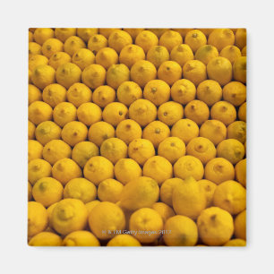 Lemons Magnet