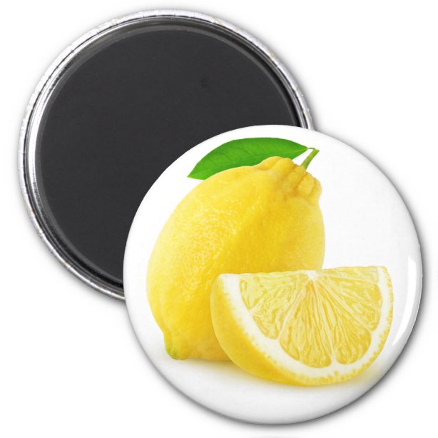 Cut Lemons Magnets | Zazzle UK