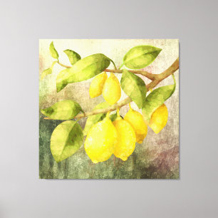 Lemons Painting Canvas Print