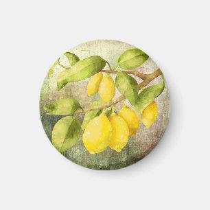 Lemons Painting  Magnet
