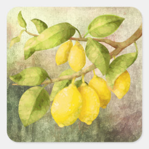 Lemons Painting   Square Sticker