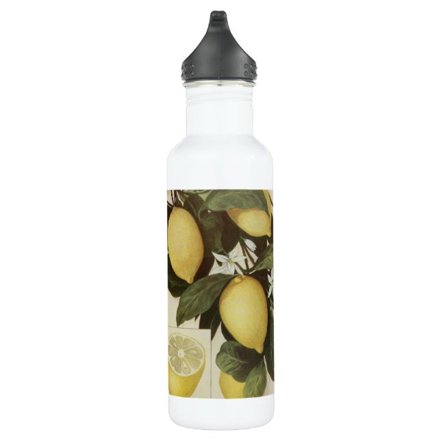 Lemons water bottle (Right)