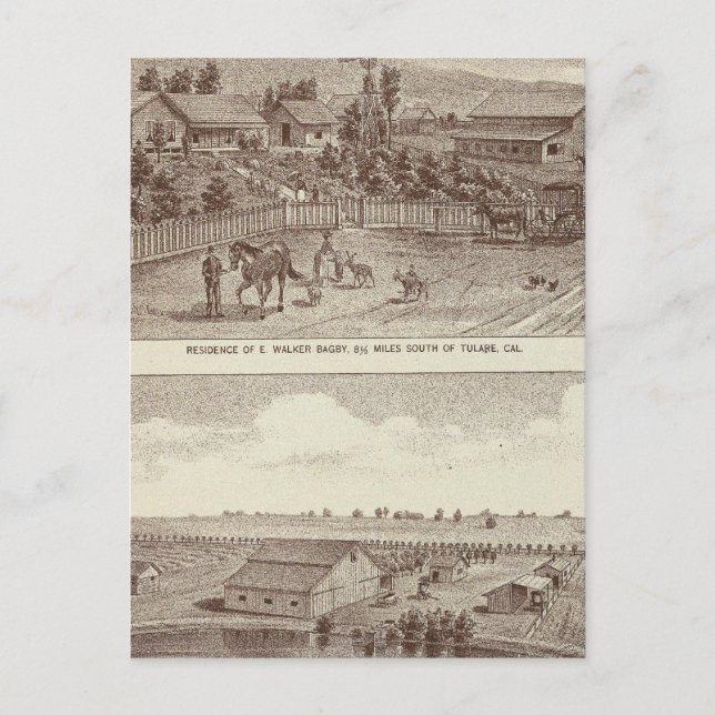 Lemoore, Armona ranches 2 Postcard (Front)