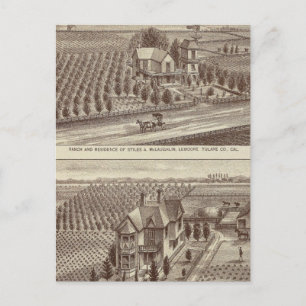 Lemoore, Armona ranches Postcard