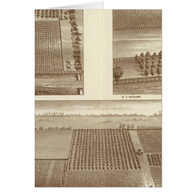 Lemoore ranches (Front)