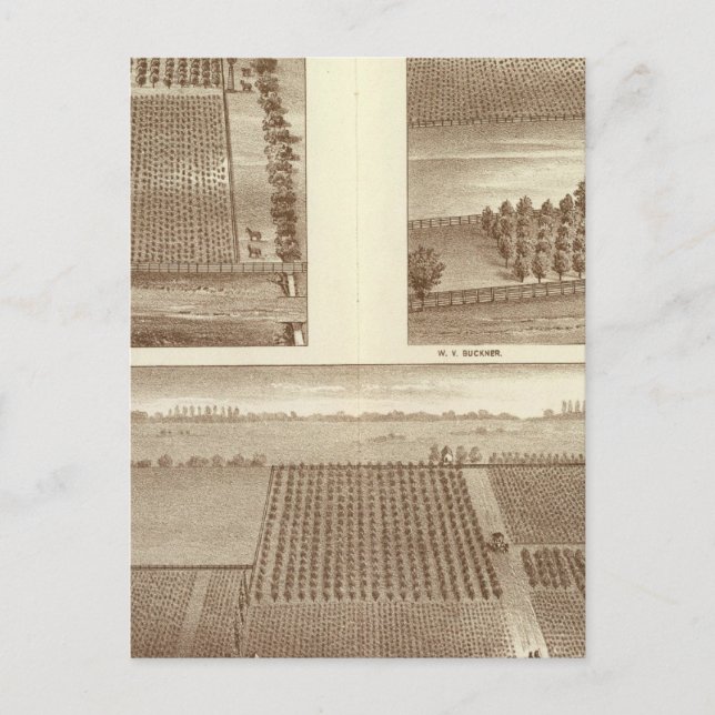 Lemoore ranches postcard (Front)