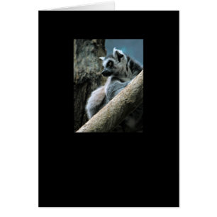 Lemur