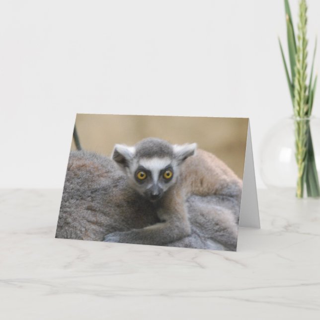 Lemur Baby  Greeting Card (Front)