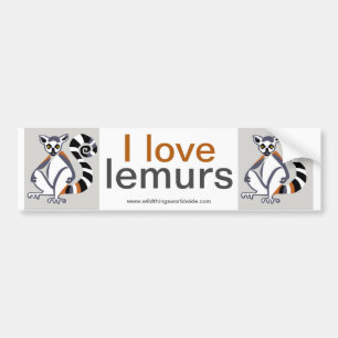 Lemur - bumper sticker