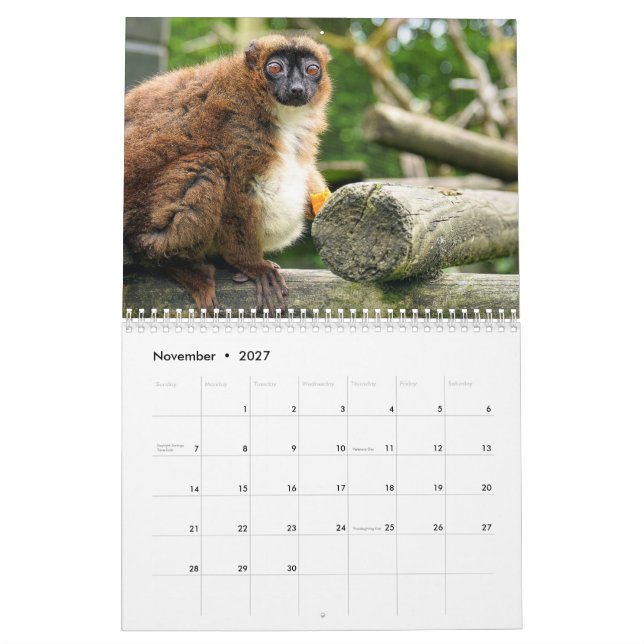 Lemur Calendar 2026 (Nov 2027)